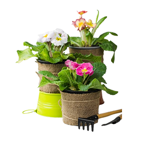 อุปกรณ์การเกษตร และ ดอกไม้พืชสวน  